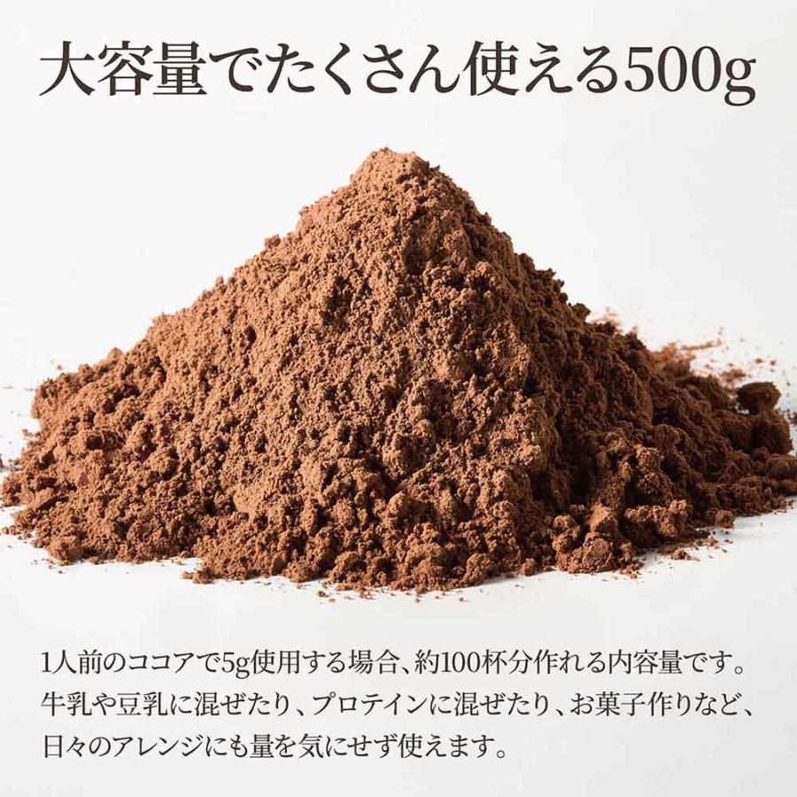 ココアパウダー 500g ココアバター10〜12% 砂糖不使用 香料無添加