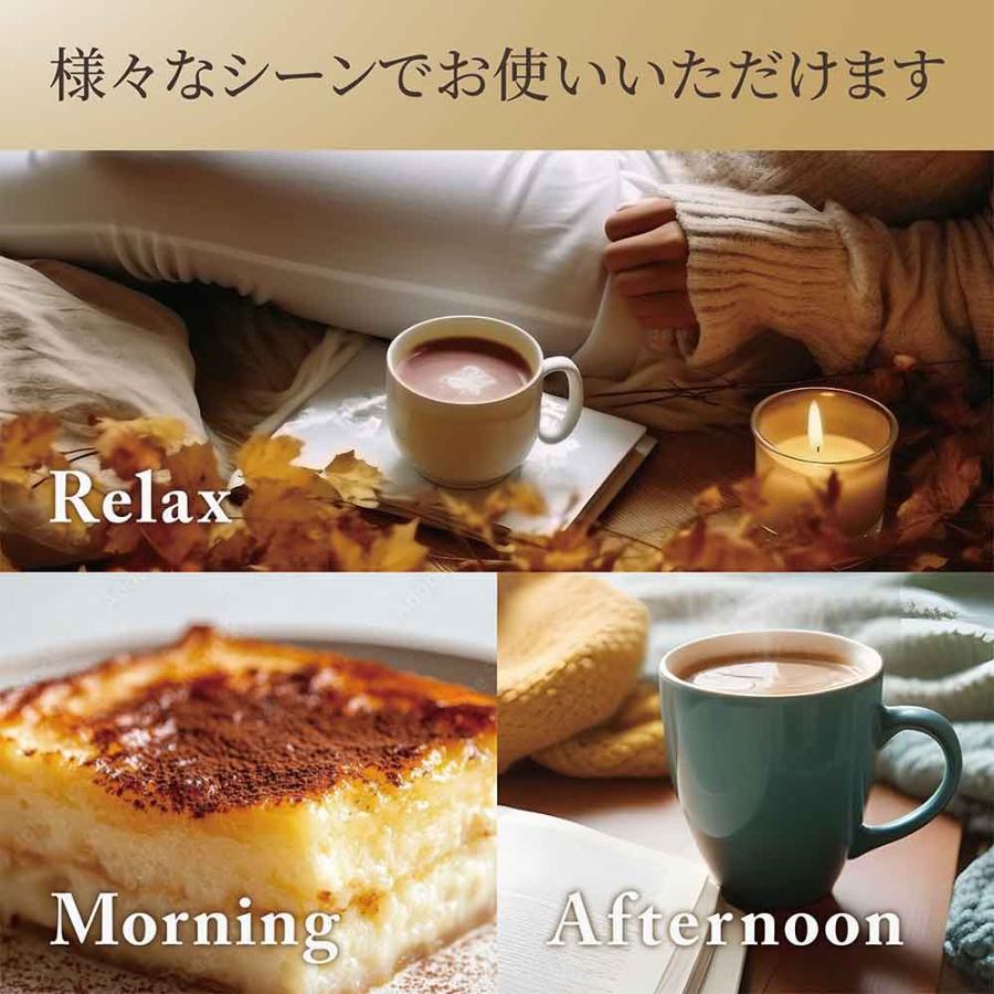 ココアパウダー 500g ココアバター10〜12% 砂糖不使用 香料無添加