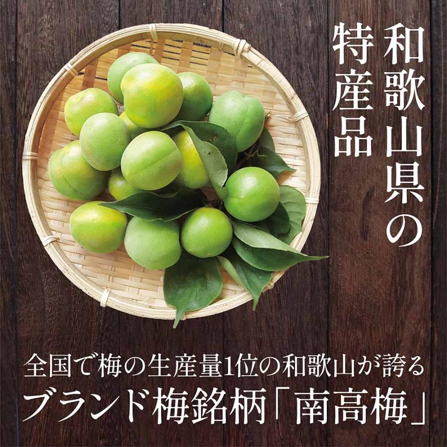 梅干し 紀州南高梅 しそ漬け 着色料 無添加 400g 塩分20％ 訳あり 国産