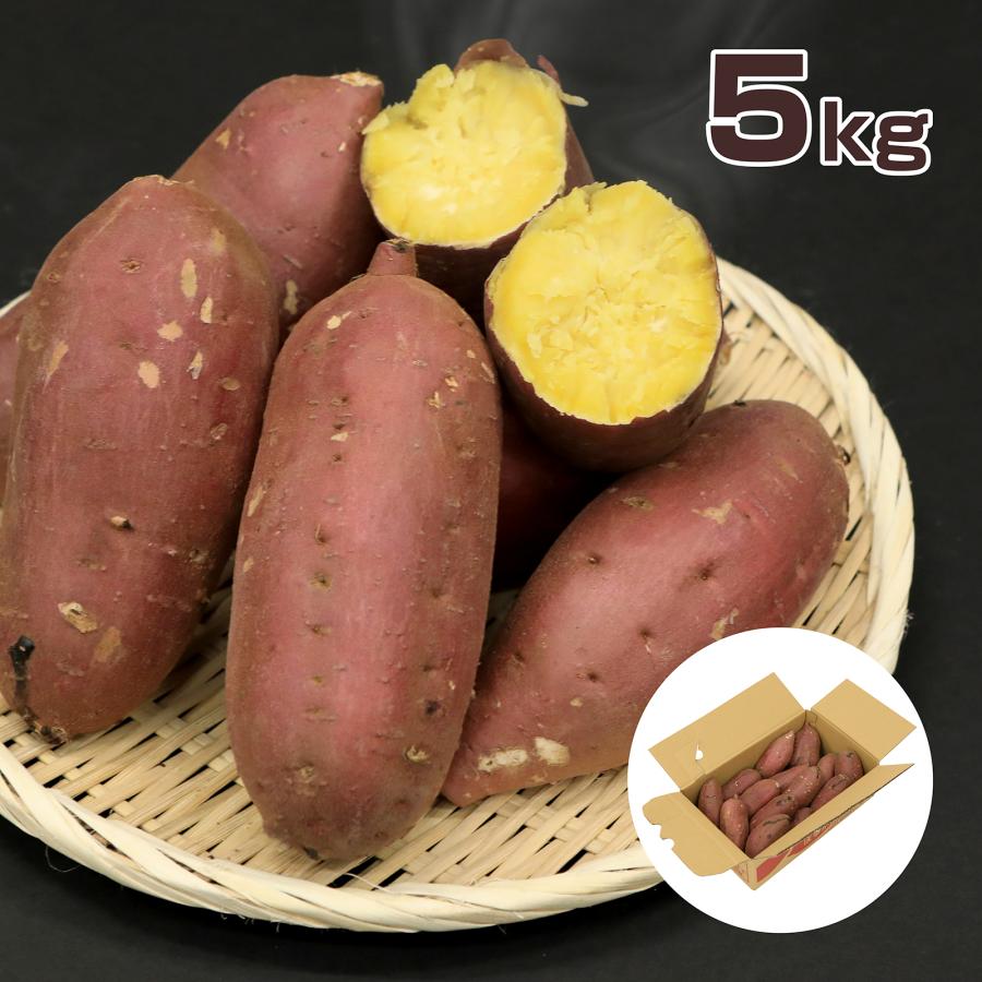 13日は10％OFFクーポン配布】味楽堂 さつまいも 訳あり品 内容量5kg 紅 