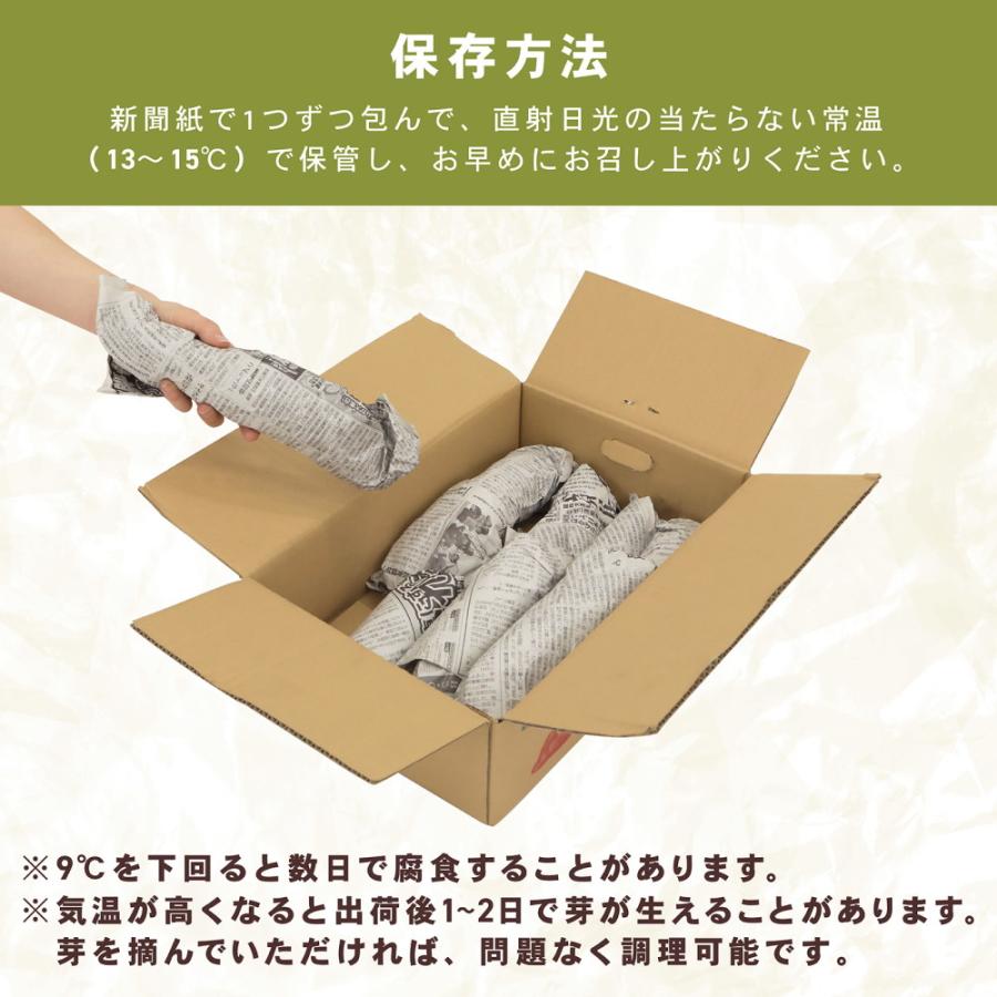 まにまに。　シルクはるかA級品各10キロ 味楽堂 さつまいも 訳あり品 内容量10kg 紅はるか 紅あずま シルク