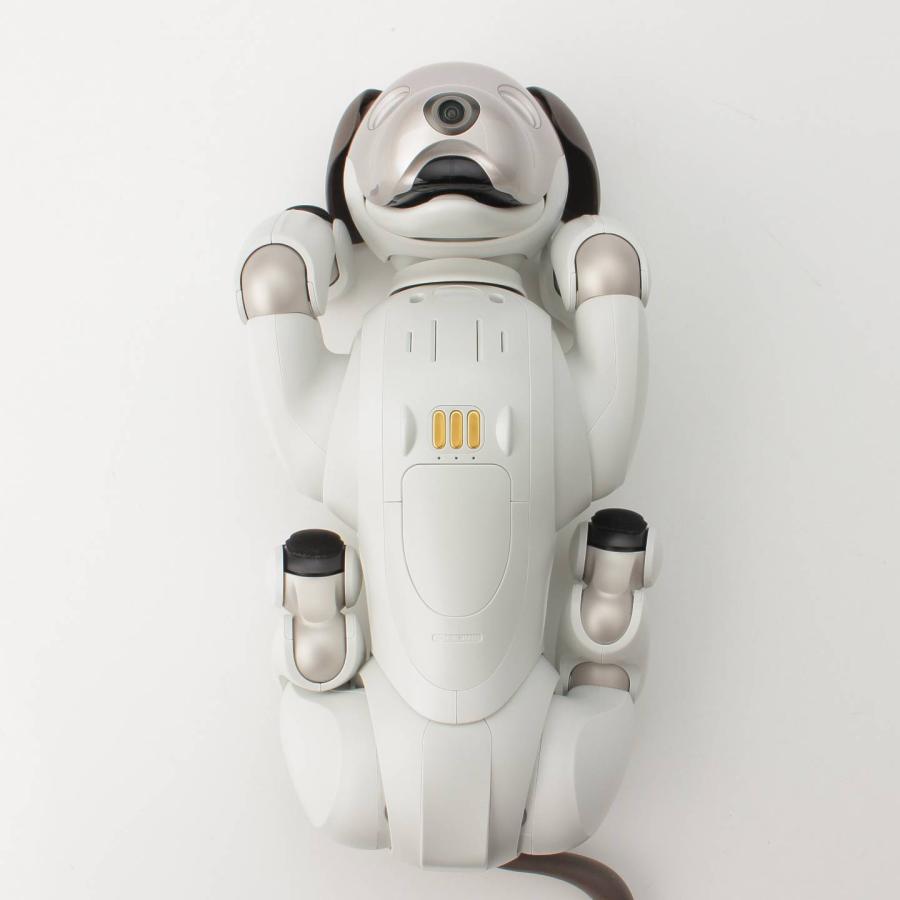 SONY ソニー AIBO アイボ ERS-1000 中古 美品 新型 バーチャルペット