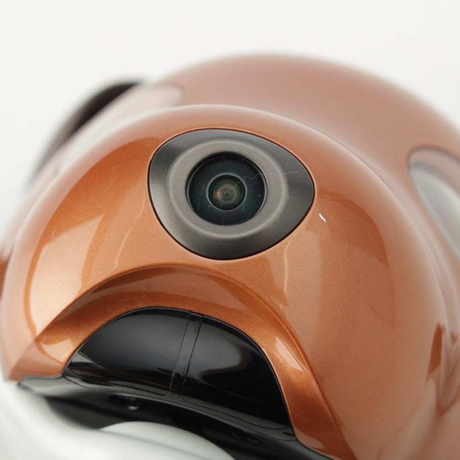 SONY（ソニー） AIBO アイボ チョコレートエディション 犬 ペット