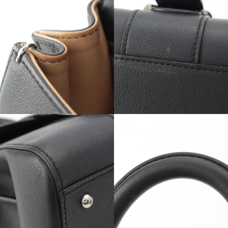 DELVAUX（デルヴォー） ブリヨン ミニ ロデオカーフ 2WAY ショルダー