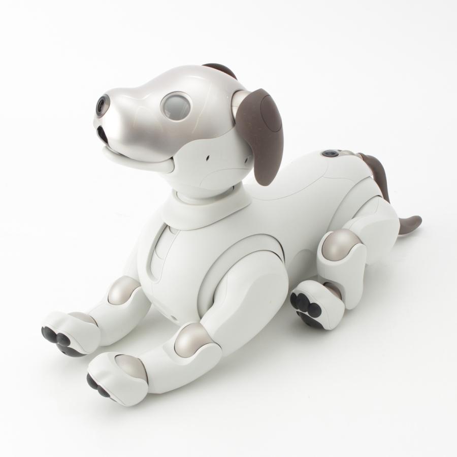 SONY（ソニー） aibo アイボ ペットロボット 家電 ERS-1000 ベーシック