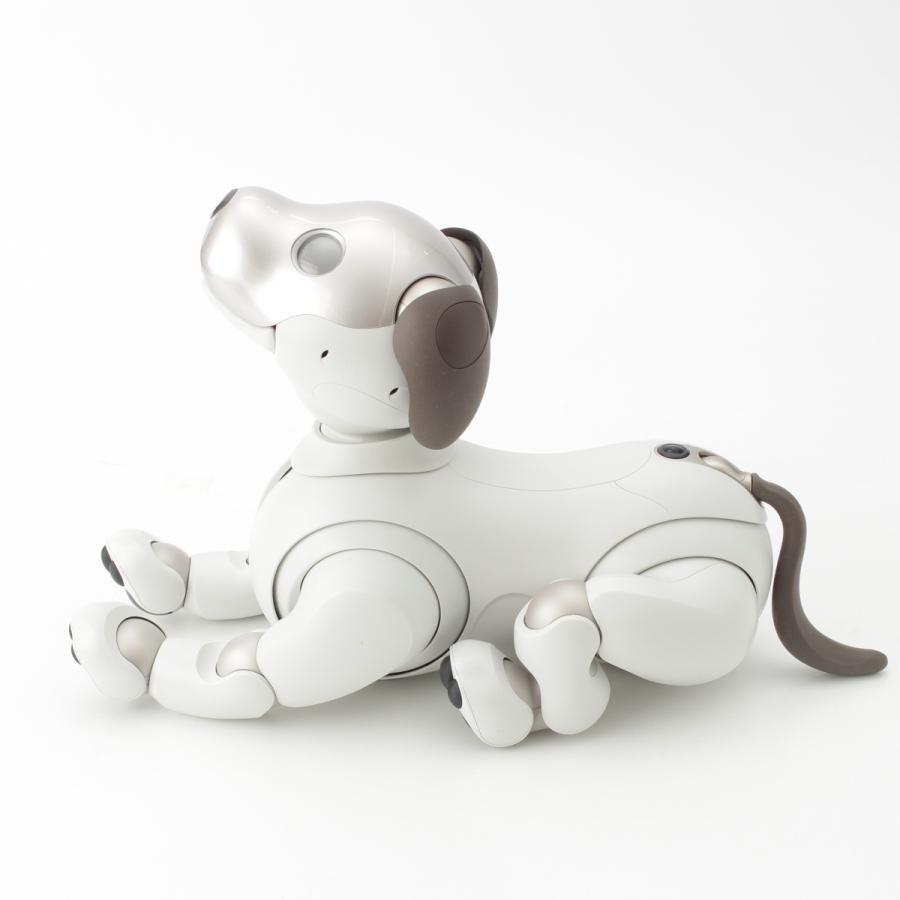 SONY（ソニー） aibo アイボ ペットロボット 家電 ERS-1000 ベーシック