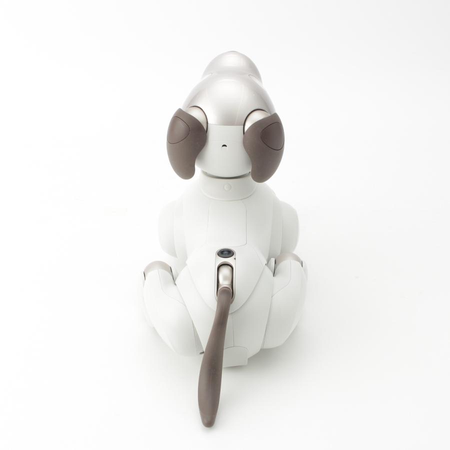 SONY（ソニー） aibo アイボ ペットロボット 家電 ERS-1000 ベーシック