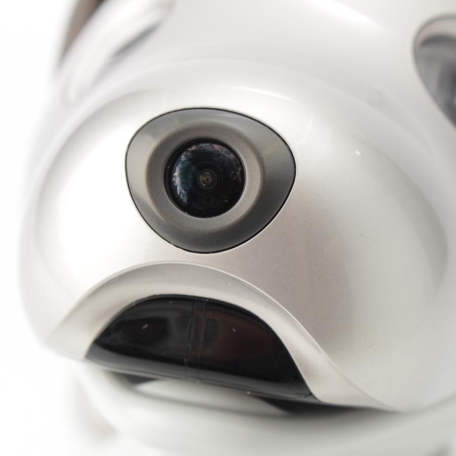 SONY（ソニー） aibo アイボ ペットロボット 家電 ERS-1000 ベーシック