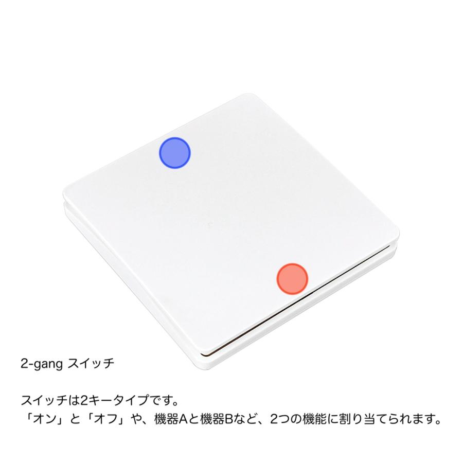 引掛シーリング型電源コントローラー + S3 2-gang スイッチ |  | 07