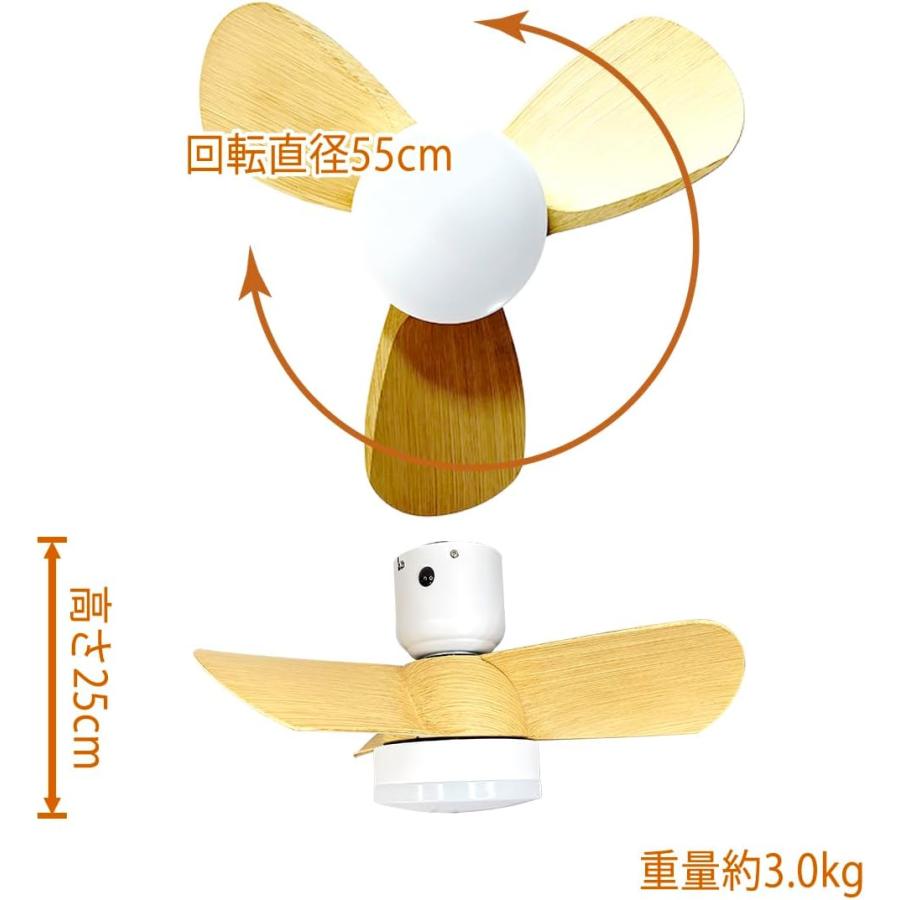 リュウド（REUDO） シーリングファンライト 小型3枚羽根 LEDライト内蔵