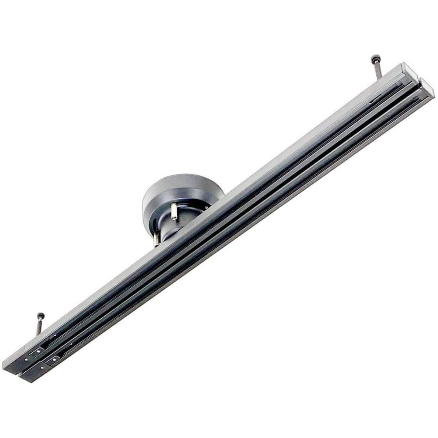 100cm x 2列 引掛けシーリング用 ライティングツインダクトレール