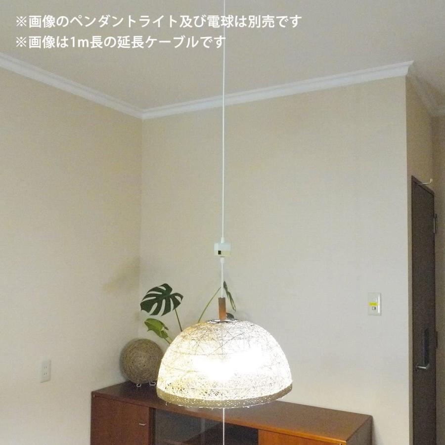 リュウド（REUDO） 引掛けシーリング 延長ケーブル 3m : リュウド直販