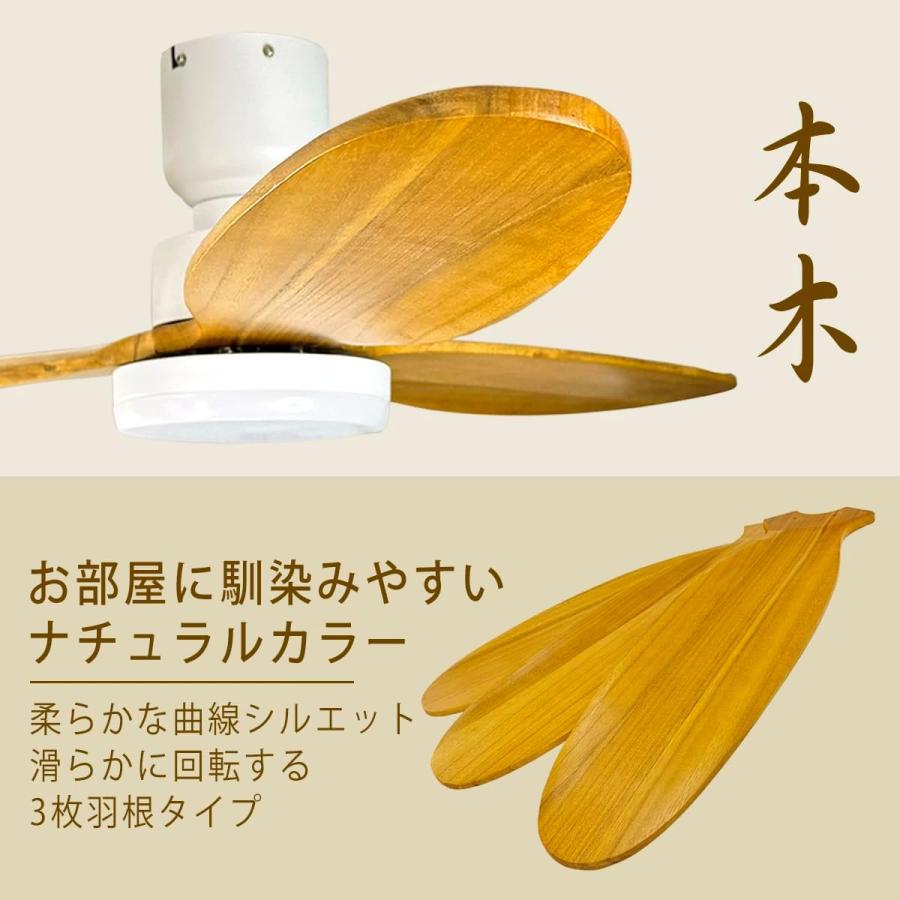 リュウド（REUDO） TUYA app.対応 スマホでもリモコンでも操作できる