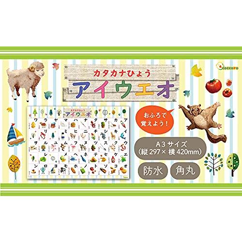 coccoro カタカナ表 A3サイズ 防水 お風呂で使える ポスター |  | 01