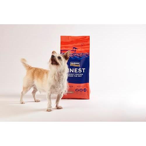 フィッシュ4 サーモン小粒 15kg : フィッシュ4ドッグ