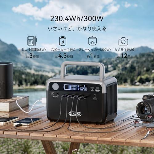 FlashFish ポータブル電源 大容量 230Wh/300W リン酸鉄リチウム 小型