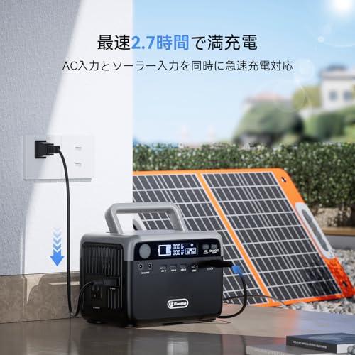 FlashFish ポータブル電源 大容量 230Wh/300W リン酸鉄リチウム 小型