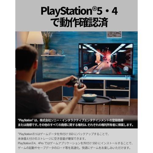 リアルテック SSD 外付け 500GB スティック型 読込最大 450MB/秒 PS5