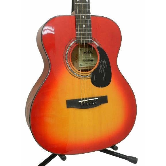 アコースティックギター Aria アリア Aria-201 CS 生産終了限定モデル 