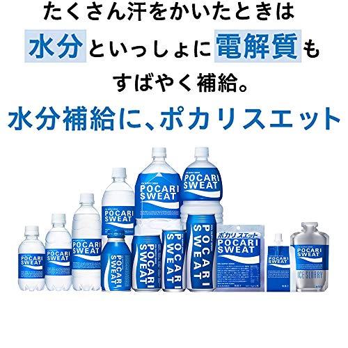 大塚製薬 ポカリスエット 500ml×24本｜reuse-radiate｜06