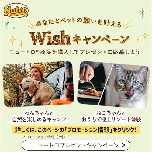 Nutro ニュートロ シュプレモ 小型犬用 成犬用 3kg ドッグフード自然素材/着色料 無添加/消化に良い/小粒/小粒 |  | 05