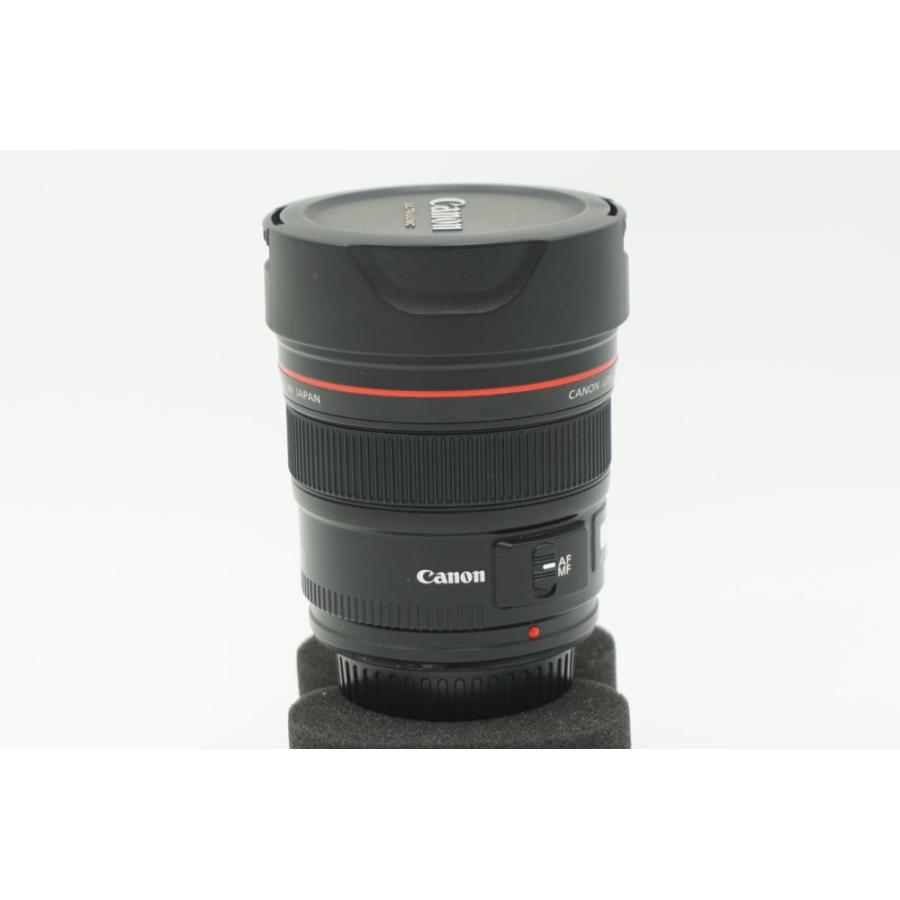 Canon 単焦点広角レンズ EF14mm F2.8 L II USM フルサイズ対応 : リ