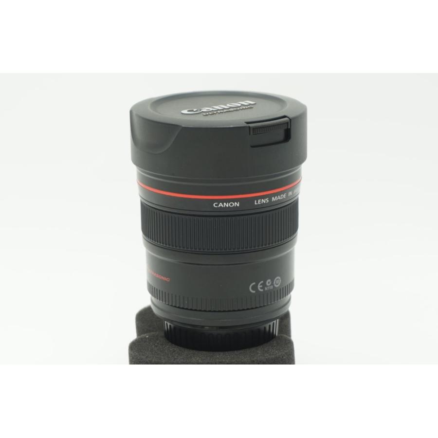 Canon 単焦点広角レンズ EF14mm F2.8 L II USM フルサイズ対応 : リ 