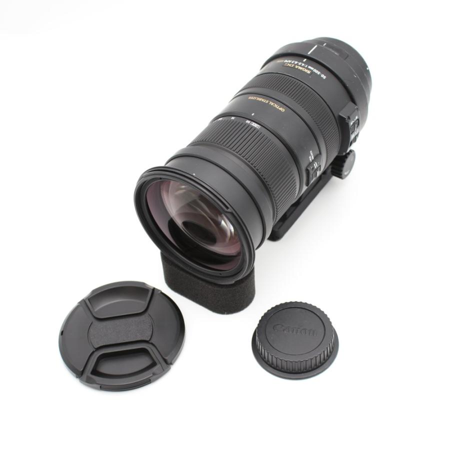 SIGMA 50-500mm F4-6.3 超望遠ズームレンズ キヤノンEF用 SIGMA 50-500mm F4-6.3 超望遠ズームレンズ キヤノンEF用 ✨超望遠