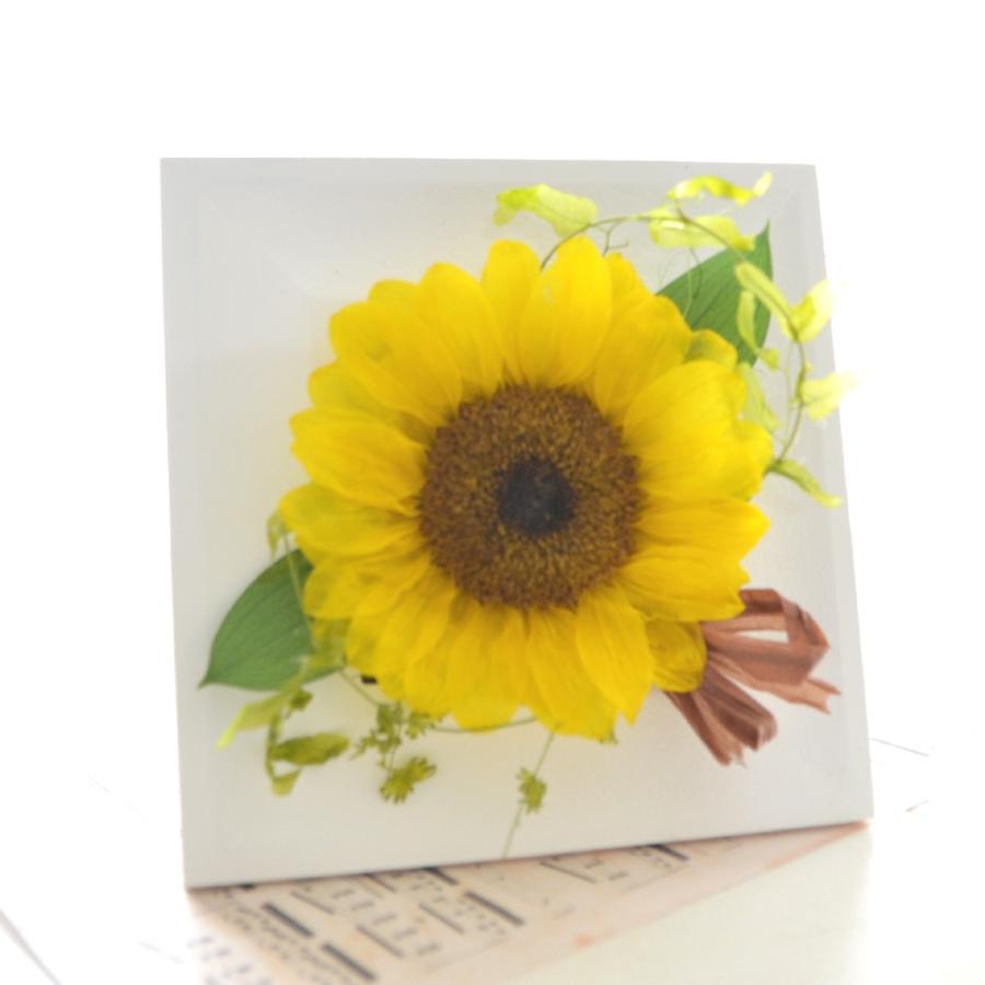 プリザーブドフラワー ギフト ヒマワリフレーム 誕生日 お祝い お見舞い ひまわり 向日葵 スタンド 壁掛け ケース入り 敬老の日 Reve ヤフーshop 通販 Yahoo ショッピング