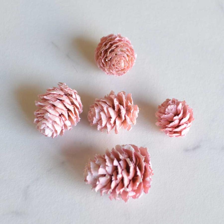 ラベンダーと松ぼっくり カラマツ ミルキーピンク 5個入り ドライ 実物 木の実 松ボックリ