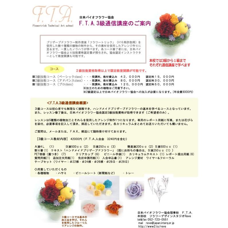 上質で快適 日本バイオフラワー協会認定 手作りプリザーブドフラワー ３級通信講座 楽天1位 Homeofmalones Com