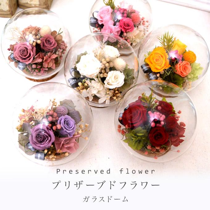 プリザーブドフラワー ガラスドーム 花 ギフト ボトルフラワー ガラス