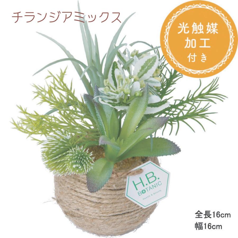 光触媒 フラワー グリーン アートフラワー ギフト 造花 観葉植物 花