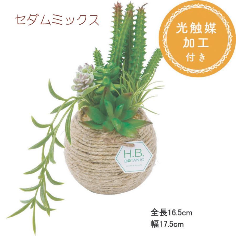 光触媒 フラワー グリーン アートフラワー ギフト 造花 観葉植物 花