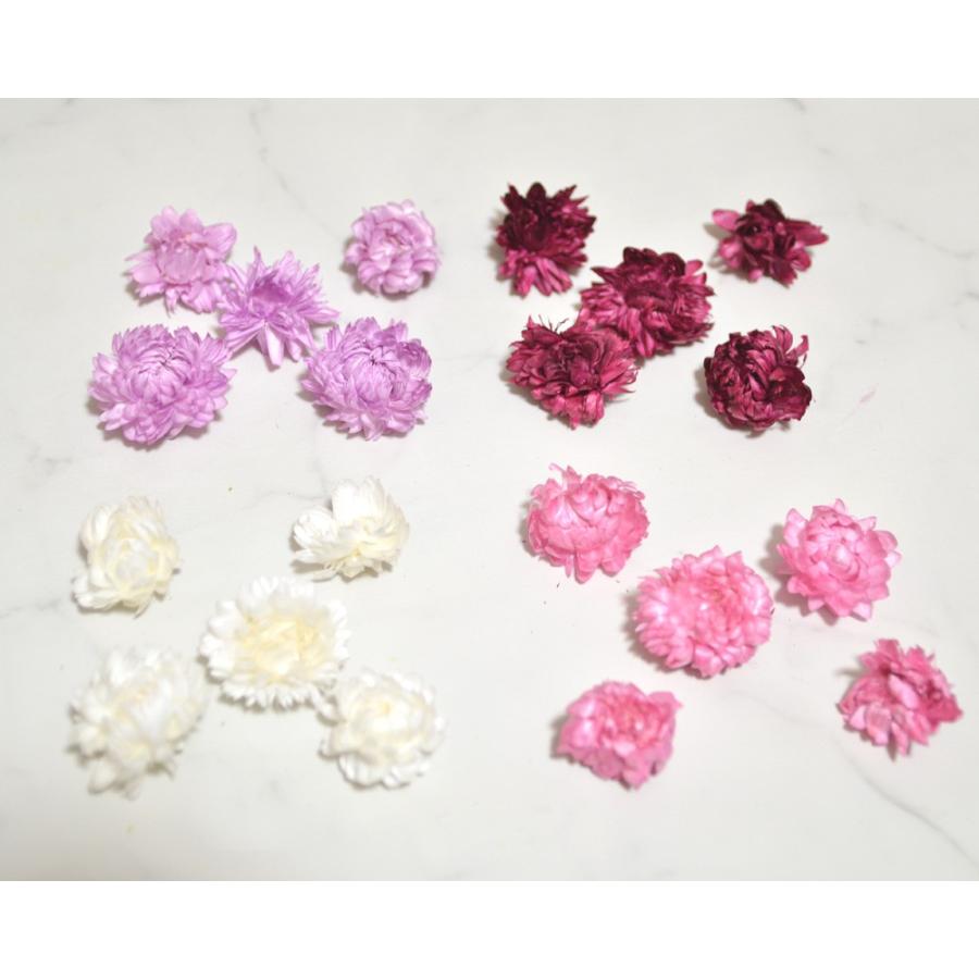 ヘリクリサム ヘッド 5個入り ドライフラワー ハーバリウム 花材 小花 アレンジ 少量 パック 小分け Kazai He Reve ヤフーshop 通販 Yahoo ショッピング