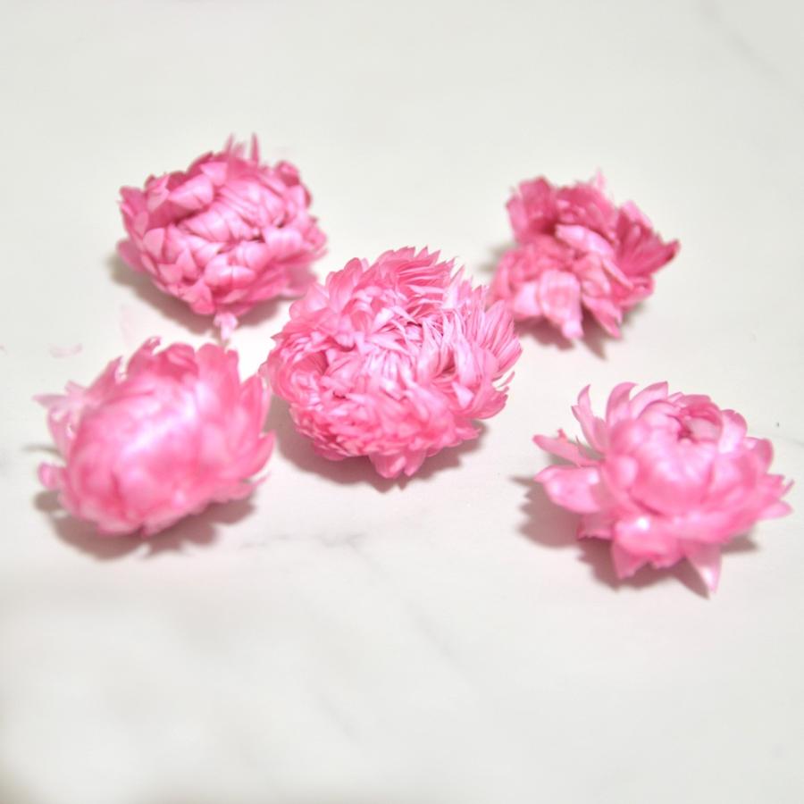ヘリクリサム ヘッド 5個入り ドライフラワー ハーバリウム 花材 小花 アレンジ 少量 パック 小分け Kazai He Reve ヤフーshop 通販 Yahoo ショッピング
