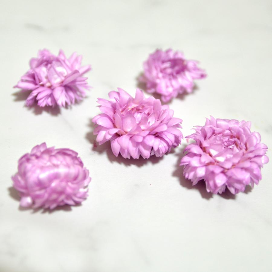 ヘリクリサム ヘッド 5個入り ドライフラワー ハーバリウム 花材 小花 アレンジ 少量 パック 小分け Kazai He Reve ヤフーshop 通販 Yahoo ショッピング