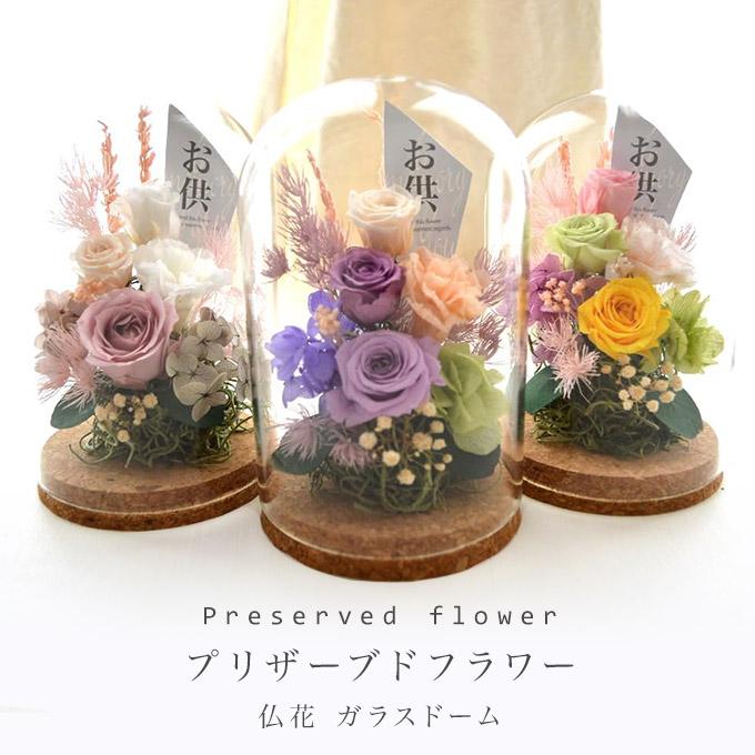 プリザーブドフラワー お供え ガラスドーム 仏花 モダン 御供 お供 花 現代 洋風 法事 カジュアル かわいい ガラス入り ペット（Yahoo!・Reve ヤフーShop）