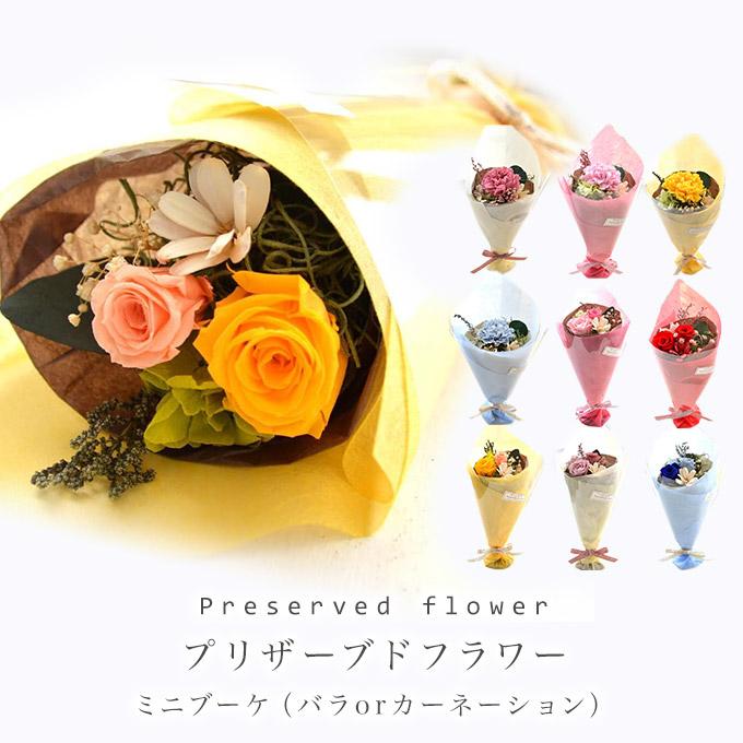 プリザーブドフラワー 花束 ミニ ブーケ プチブーケ カーネー ション