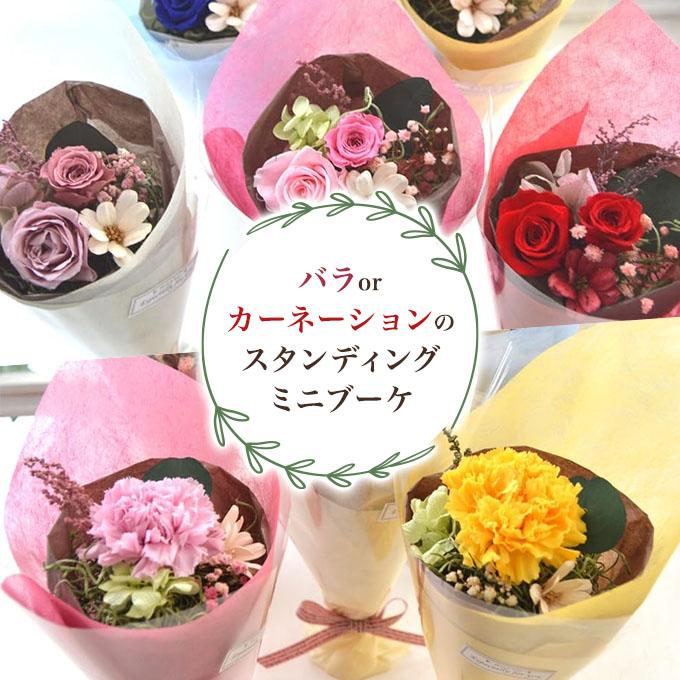 プリザーブドフラワー 花束 ミニ ブーケ プチブーケ カーネー ション