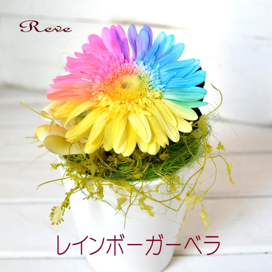 プリザーブドフラワー ギフト レインボーガーベラ アレンジ 誕生日 ブリザーブド お祝い 結婚祝 アレンジ 引越祝い 敬老の日 R Gavera Reve ヤフーshop 通販 Yahoo ショッピング