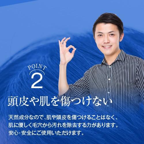 リーブ21 【リーブ21公式 正規品】スカルプシャンプー 250g : リーブ