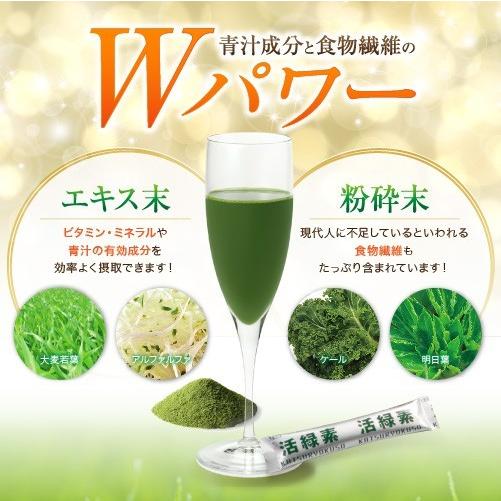 活緑素・リーブ21 青汁スティック　＜2袋セット売り＞ リーブ21 青汁 活緑素 スティックタイプ(3g×90包) 健康食品 大麦若葉
