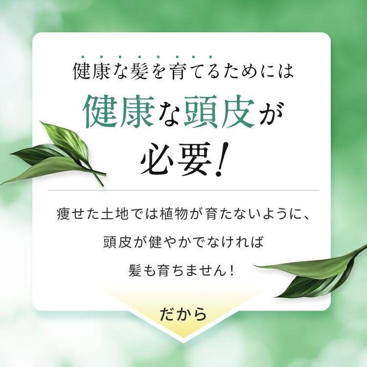 リーブ21 【リーブ21公式 正規品】アクティシャンプーR 300ml 【送料
