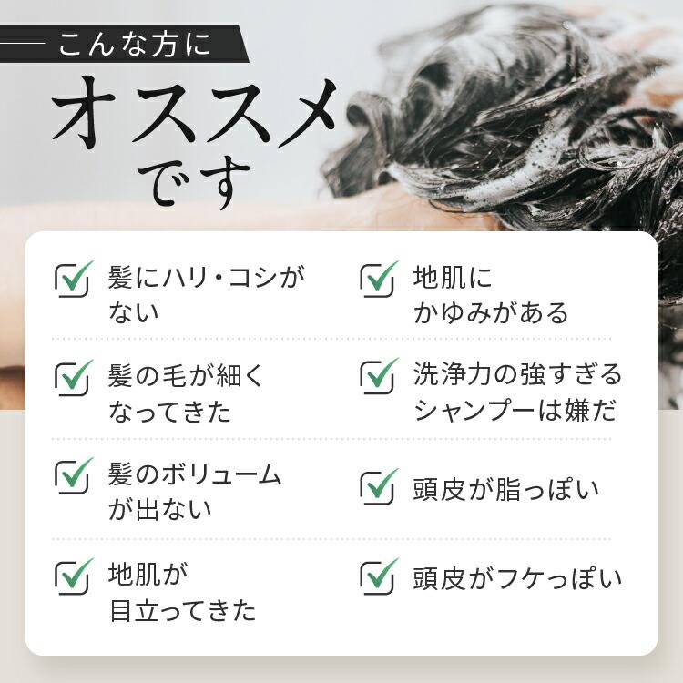 リーブ21 【リーブ21公式 正規品】アクティシャンプーR 300ml 【送料