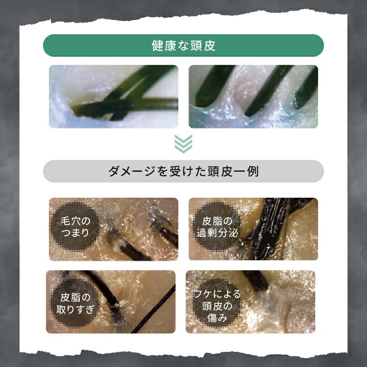 【爆買】【リーブ21公式 正規品】アクティシャンプーR 200ml スカルプシャンプー アミノ酸系 ノンシリコン | リーブ21 | 09