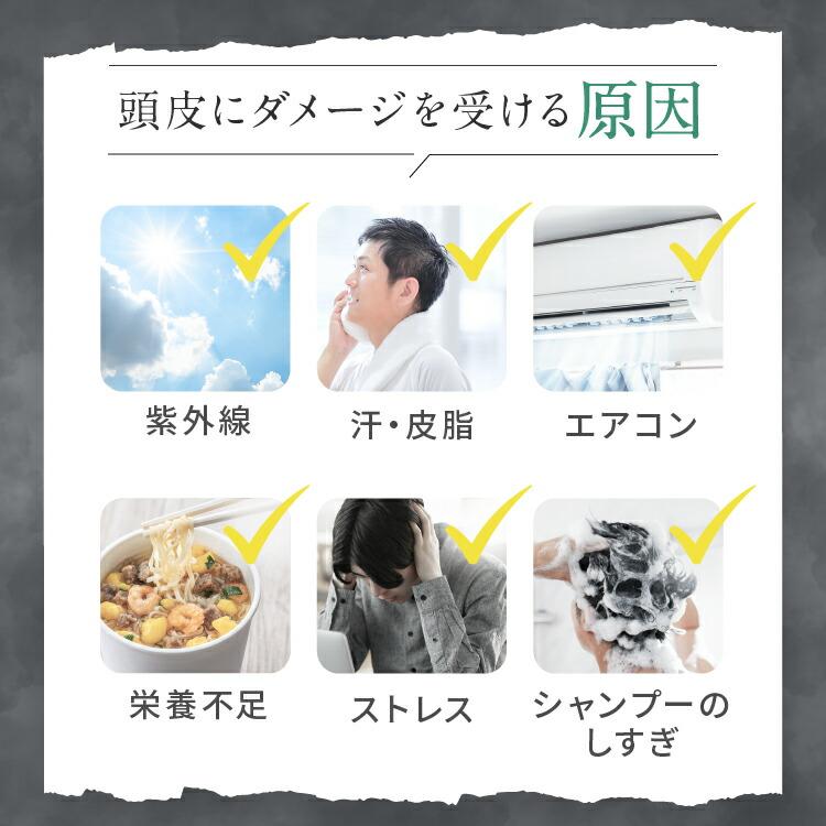 【爆買】【リーブ21公式 正規品】アクティシャンプーR 200ml スカルプシャンプー アミノ酸系 ノンシリコン | リーブ21 | 08