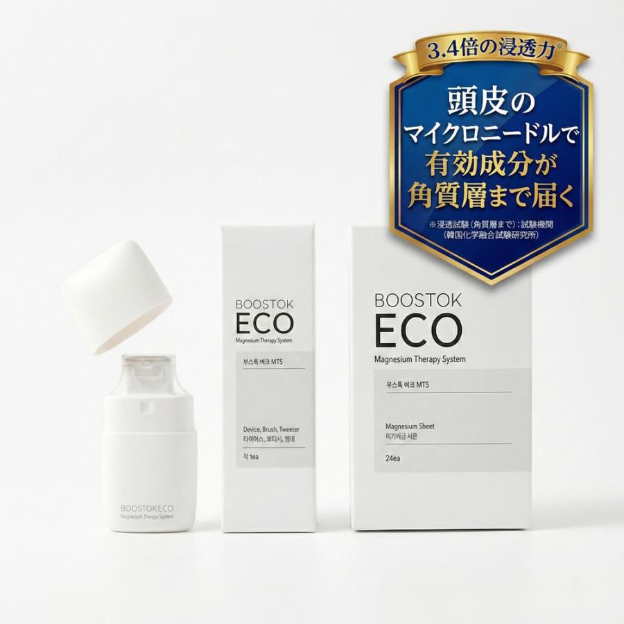 リーブ21 日本初上陸！正規品 BOOSTOK ECO スタートキット（本体＋
