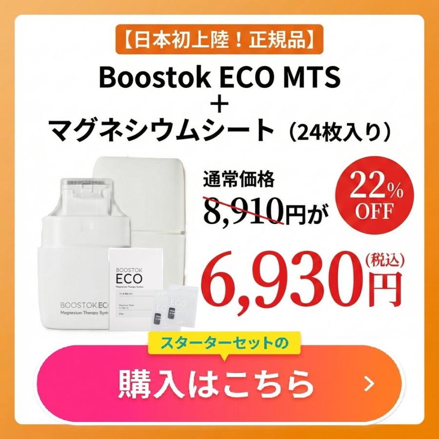 モ*ト様 H*u様 値下げ！！【新品未使用】リーブ21 お買い得セット リーブ21 日本初上陸！正規品 BOOSTOK ECO スタートキット（本体＋