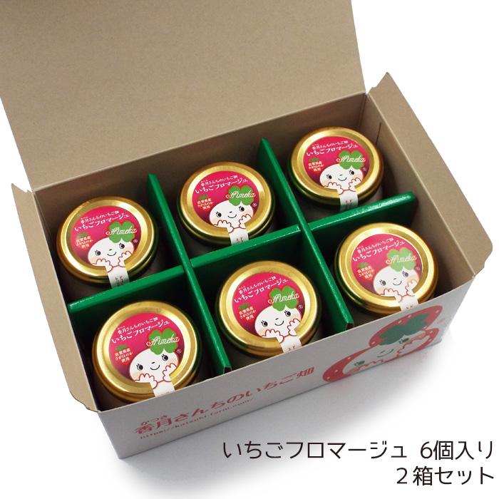 佐賀県産さがほのか いちごフロマージュ 6個入りギフトBOX 2箱セット